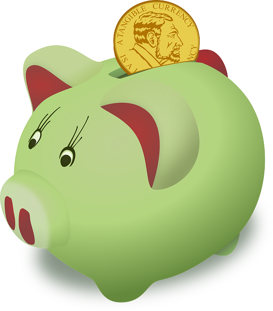 Sparschwein - Moneybox