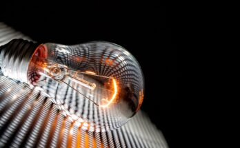 light bulb, lighting, light, energy