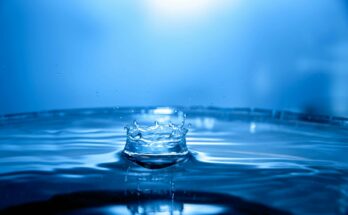 clear glass cup on water, Wasserkrat